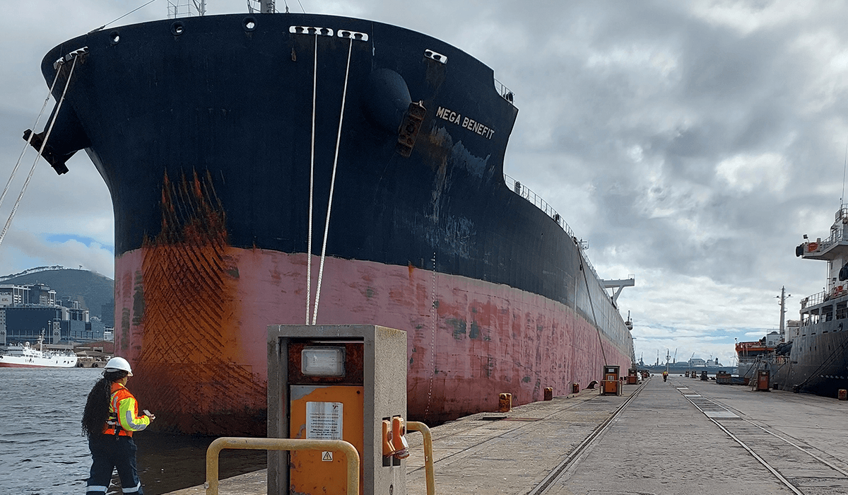 Coastal and port infrastructure solution 2